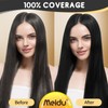 Black Hair Dye Shampoo 3 in 1, Permanent Hair Colour