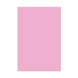 QEEYON 8 x 12 Pink Acrylic Plexiglass Sheet, 0.06" Thick Not-Transparent Acrylic Plexiglass Board with Protective Film for Craft Sign DIY