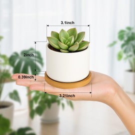 ZOUTOG Succulent Pots 3.15 Inch,4 Pack Succulent Planters,Small Pots for Plants with Drainage and Tray,White Ceramic Flower Planters for Indoor Plants,Home,Office,Desk