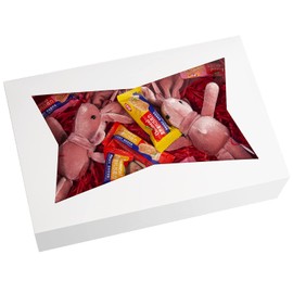 SOROO 15-Pack 10inch White Pastry Bakery Cookie Box,10x7.75x2.5inch Large Donuts,Muffins,Cookies Boxes with PVC Window - Auto-Pop up Paper Box Nature Cardboard Take Out Container,Pack of 15