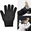 Refein Bird Training Anti- Bite Gloves, Parrot Chewing Working Protective