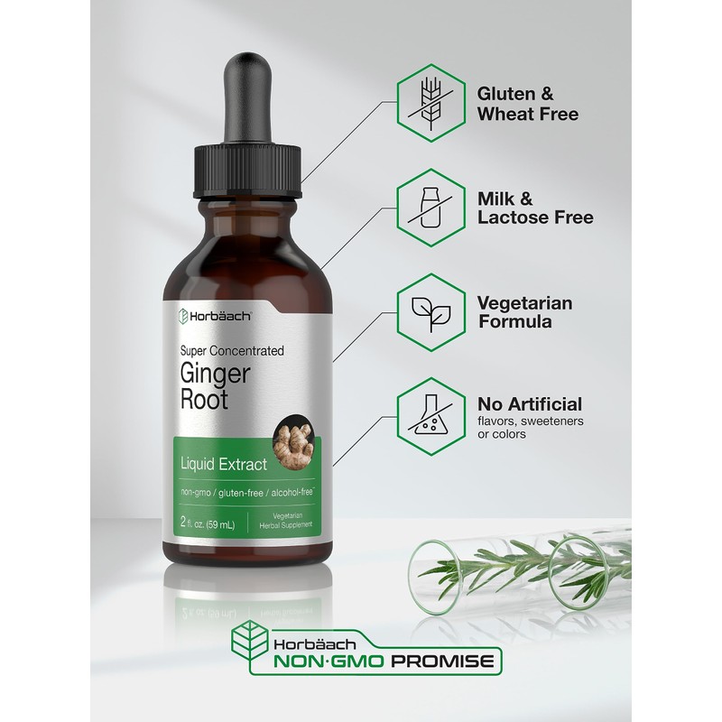 Horbäach Ginger Root Extract Liquid | 2 oz | Alcohol