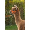 Kerbl Alpaca Headcollar Adjustable - Orange (Dimensions 17 x 18