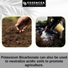 Potassium Bicarbonate 2lb by Essencea Pure Bulk Ingredients | Electrolyte