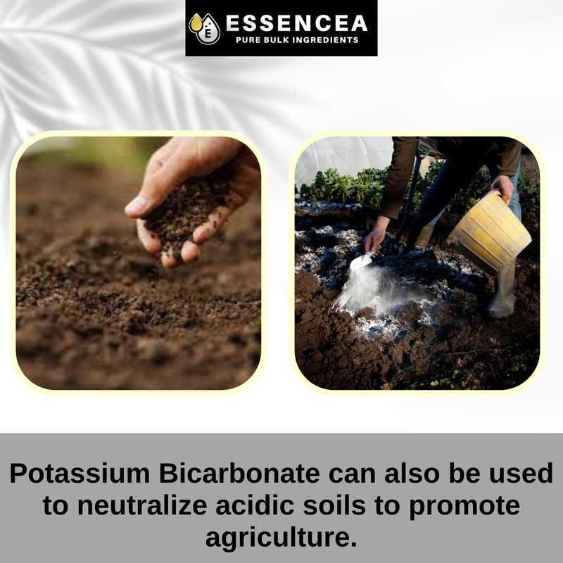 Potassium Bicarbonate 2lb by Essencea Pure Bulk Ingredients | Electrolyte