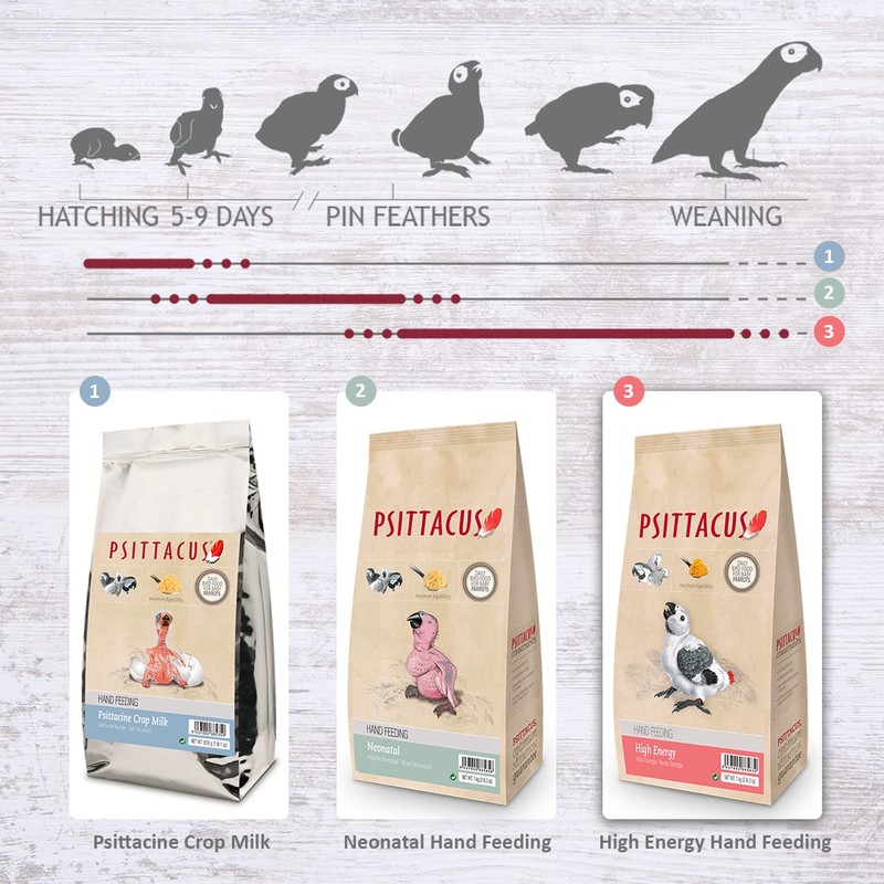 Psittacus High Energy Hand-Feeding Formula 2.2 lb | Diet for