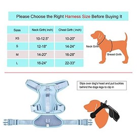 Petmolico Dog Harness for XS Dogs No Pull, Cute Dog Harness with Two Leash Clips and Soft Handle, Reflective Easy Walk Dog Harness with Leash, Light Blue XS