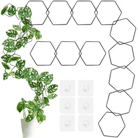 20 Pcs Chain Trellis for Climbing Plants with 6 Pcs Hooks, Metal Hexagonal Wall Plant Support Accessories for Vine Growth, Houseplant, Monstera, Hoya, Pothos, Ivy, Wisteria and More Live Plant Climber