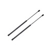 PM Auto Pair of 2 Rear Back Glass Lift Support