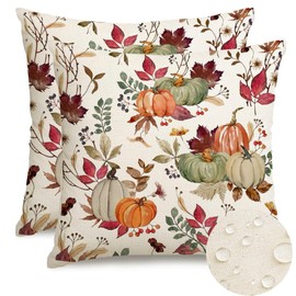 RABUSOFA Fall Pillow Covers 18x18 Inch Set of 2,Pumpkin Decorations Throw Pillows,Outdoor Autumn Thanksgiving Decor Cushion Covers for Sofa Patio Furniture Garden Living Room Waterproof (03-18)