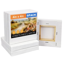 6 Pack Stretched Small Canvas Boards for Painting 4x4 Inch,Mini Canvas Boards,Cotton Blank Canvas,Boards & Panels for Painting Acrylic and Oil, Art Supplies for Adults and Teens (6 Pack-4x4 Inch)