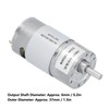 DC24V Gear Motor Copper Rotor with 6mm Eccentric Shaft Micro