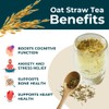Teapro Oat Straw Loose Leaf Herbal Tea 100g | Premium