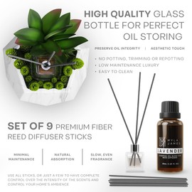 2in1 Reed Diffusers for Home & Faux Succulents Plants Artificial Set-Ceramic Potted Succulents x2 Pcs, Home Fragrance w/Lavender, Lemongrass, Eucalyptus Essential Oilx3 bottles 30ml with 9 Reed Sticks