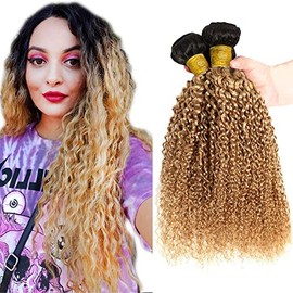 CA 1B27 Curly Human Hair 3 Bundle 22 24 26 Inch