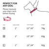 haoyueer Martingale Dog Collar with Stainless Steel Chain - Cute