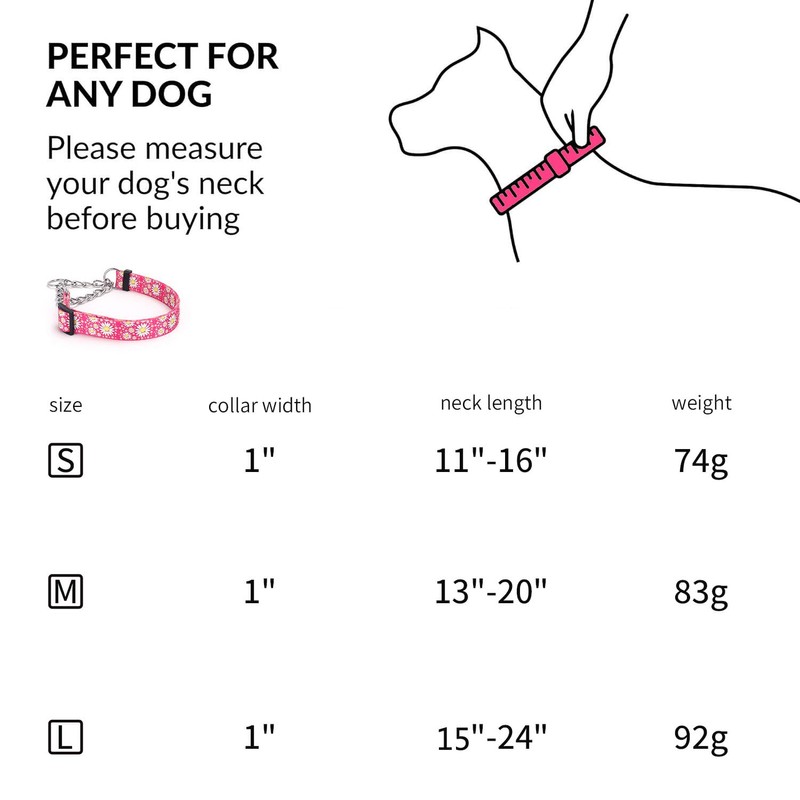 haoyueer Martingale Dog Collar with Stainless Steel Chain - Cute