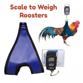 Unbranded BASCULA, BALANZA PARA GALLOS, POLLOS, GALLINAS, Scale To Weight for Rooster, hen