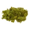 100 g Real Icelandic Moss Arrangement Craft 100% Natural Decoration