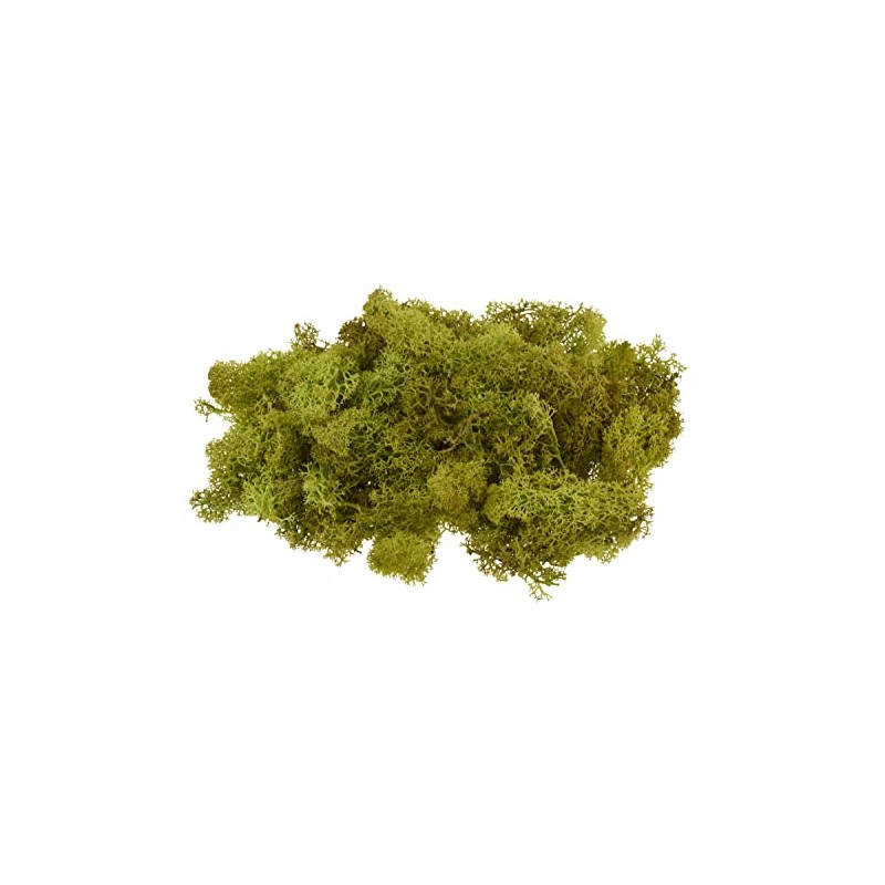 100 g Real Icelandic Moss Arrangement Craft 100% Natural Decoration