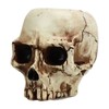 Skull Head Flower Pot Resin High Strength Clear Shape Skull