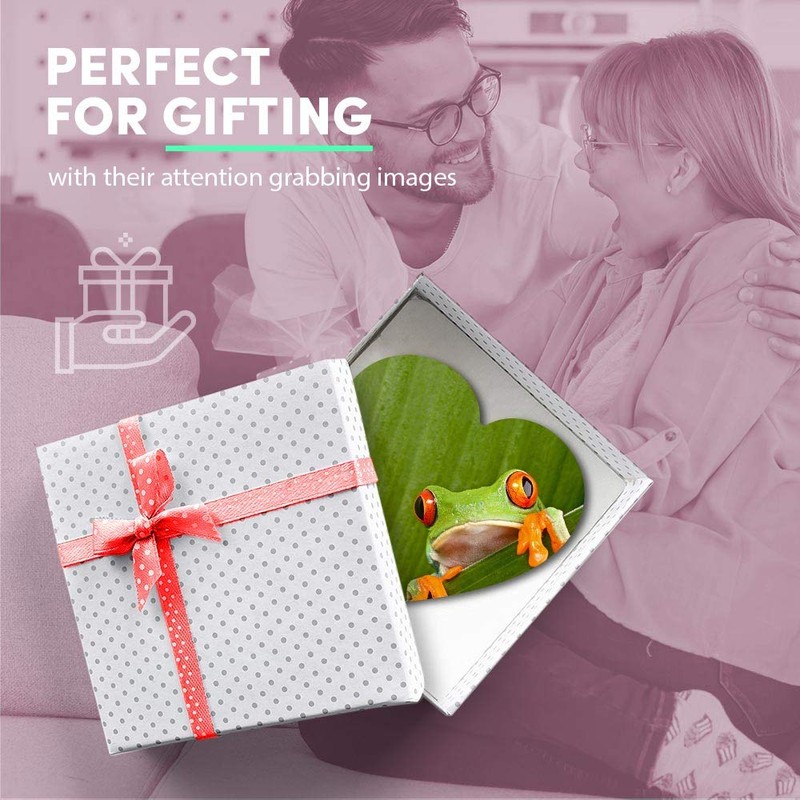 1 x Heart MDF Magnets - Green Frog Nature Frogs