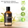 MAYJAM Essential Oil, Frankincense Aroma Oil, 1.0 fl oz (30