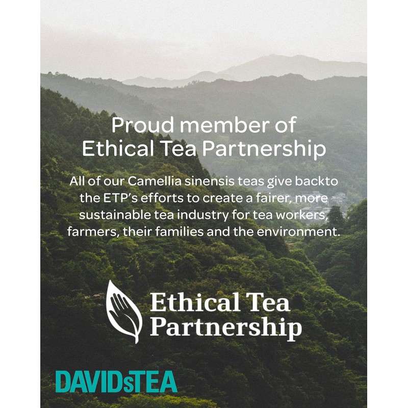 DAVIDsTEA Buddha’s Blend Loose Leaf Tea, Premium White Tea with