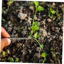 Minkissy 4pcs Stainless Steel Tweezers Set Serrated Tips for Precision Grip Gardening Crafting and Daily Maintenance Rustproof and Design