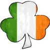 WickedGoodz Irish Flag Shamrock Vinyl Decal - Ireland Clover Bumper