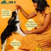 YAK-9 Yak9 Cheese Dog Chews, High Protein Treats, Natural, Rawhide