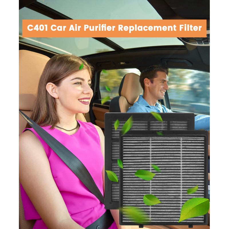2 Pack C401 Replacement Filter Compatible with LUFTRUM Air Purifier