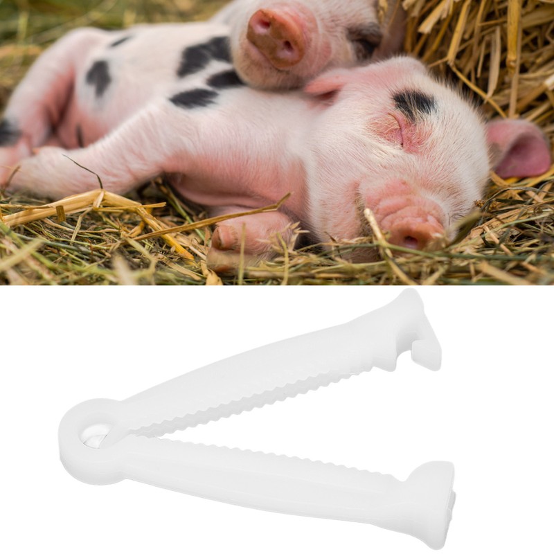 200PCS Pig Umbilical Cord Clamp Disposable Livestock Umbilical Cord Clip