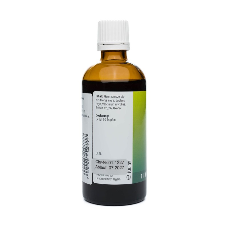 RATHAUS APOTHEKE WIEN Knospenextrakt - Gemmotherapie - Blutzucker - 100