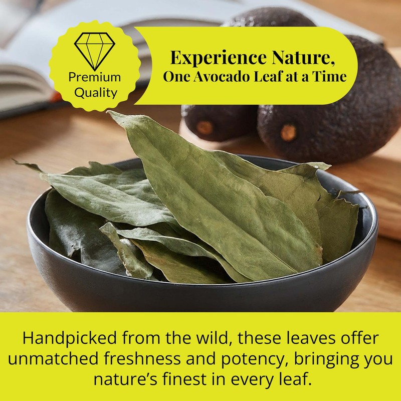 5.2oz Dried Avocado Leaves, Leaf Tea, Hojas De Aguacate Secas,