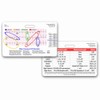 STEMI 12 Lead Tool Horizontal Reference Badge ID Card (Pack