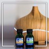 Nilodor - Air Freshener and Odor Neutralizer and Eliminator -