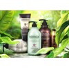 바론 모링가 리페어링 샴푸, 1L, 1개 Baron Moringa Repairing Shampoo,
