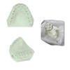 5 LB. Dental Lab Stone Type IV Green Gypsum Type