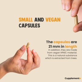 Cupplement - 4 Bags of Reishi Extract Capsules 60 Pieces - 20:1 Extract - Free Pill Box - Organic - 400 MG Per Capsule - No Powder - Supplement - Superfood - Mushroom - Mushroom