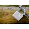 ABUS 28644 Stainless Steel Shackle Brass Padlock with 7561 Reversible