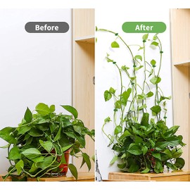 Vigooup 60PCS Garden Plant Climbing Plant Support Clips, Invisible Self-Adhesive Fixer Sticky Hooks Plants Climbing Support Clip for Supporting Stems Grow Upright, Vines Traction, Cable Wire Fixing