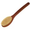 Croll & Denecke Stained Long Handled Curved Bath Brush