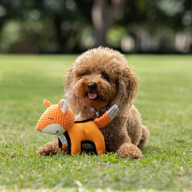 TOTAL CARE Dog Toy Cuddlechews 1 piece