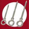 M10 Wood Eye Screw Threaded Bolt Made of Stainless Steel
