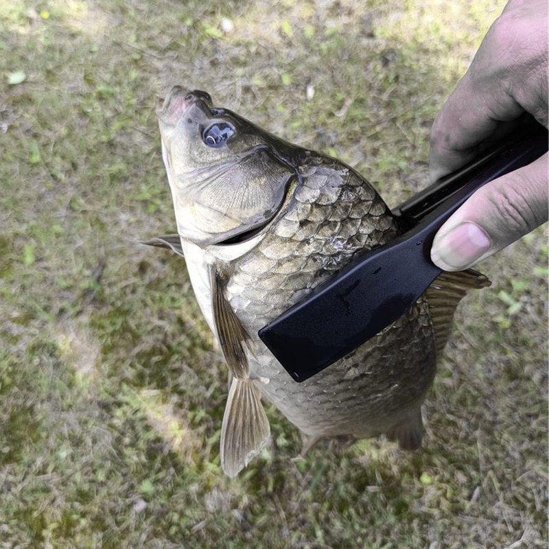 Alligator Grip Fish Catcher 8.7 x 1.2 inches (22 x