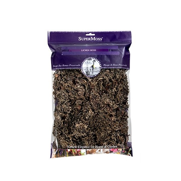 Super Moss (21802) Lichen Parmelia (No Stem), Brown, 8oz
