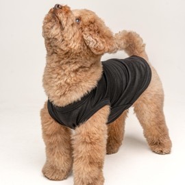 Happy Birthday Mom Dog Tee Shirt | Sleeveless | Pawty | Party Theme | Celebration Supplies | Photoshoot (Black, Medium 168)