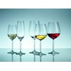 Schott Zwiesel Tritan Crystal Glass Diva Stemware Collection Claret Burgundy
