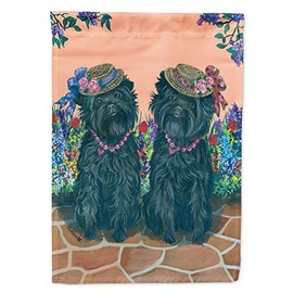 Caroline's Treasures PPP3001GF Affenpinscher Sisters Garden Flag Mailbox Flag Decorative Yard Flag Banner Outside Patio Artwork Yard Flower Beds, Garden Size, Multicolor